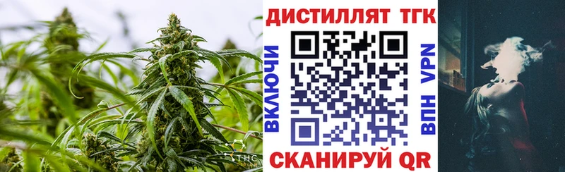 Купить закладки  Бабаево  Дистиллят ТГК концентрат 